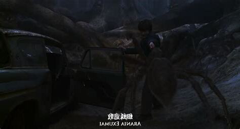 哈利波特 蜘蛛